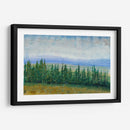 Tops De Pino I - Tim OToole | Cuadro decorativo de Canvas Lab