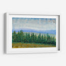 Tops De Pino I - Tim OToole | Cuadro decorativo de Canvas Lab