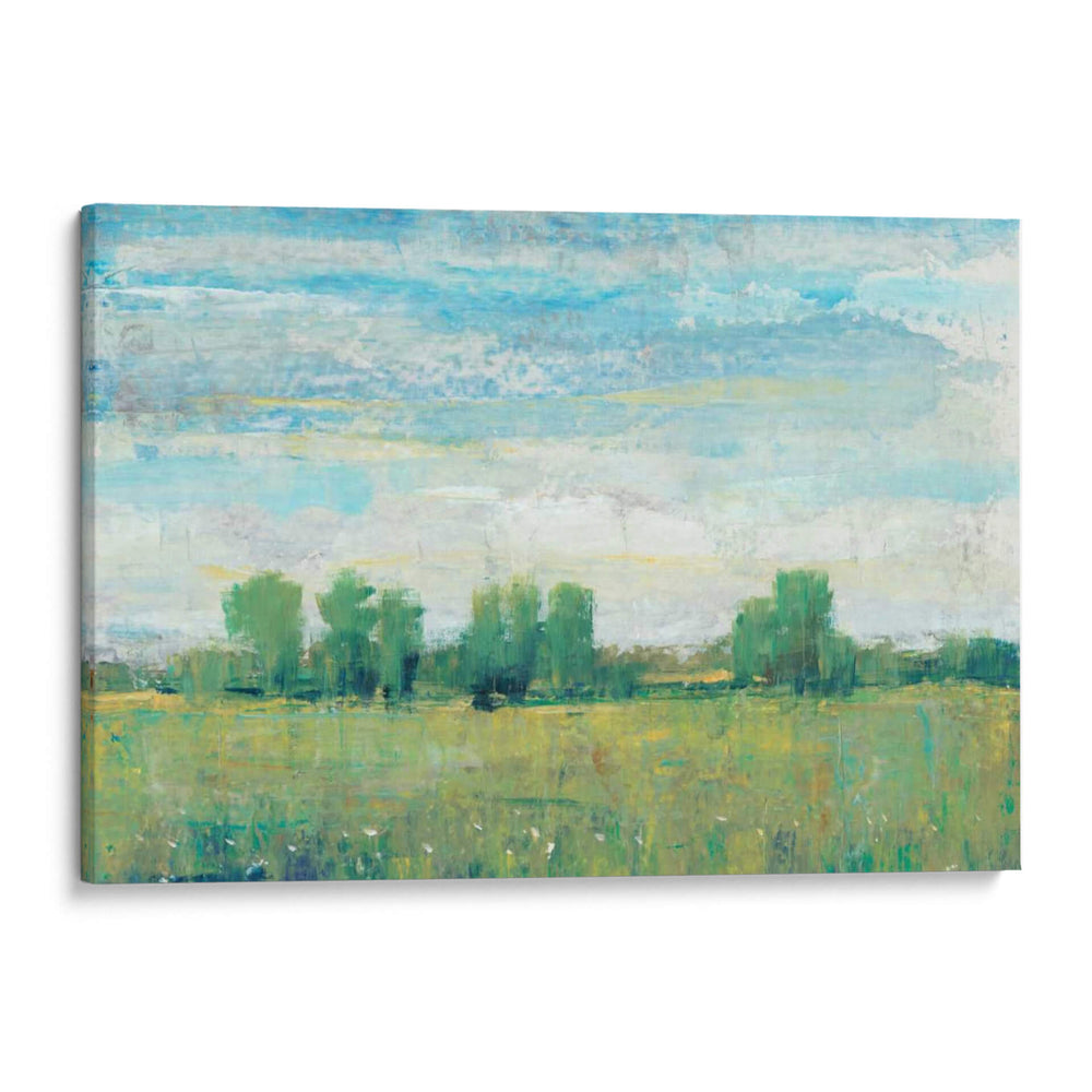 Esplendor En Primavera I - Tim OToole | Cuadro decorativo de Canvas Lab