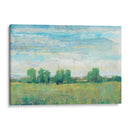 Esplendor En Primavera I - Tim OToole | Cuadro decorativo de Canvas Lab