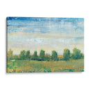 Esplendor En Primavera Ii - Tim OToole | Cuadro decorativo de Canvas Lab