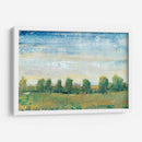 Esplendor En Primavera Ii - Tim OToole | Cuadro decorativo de Canvas Lab