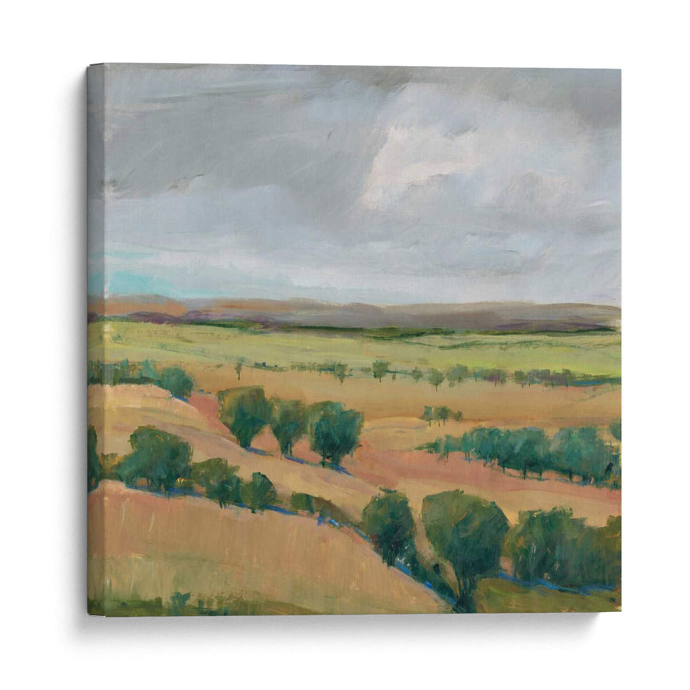 Storm Hermoso I - Tim OToole | Cuadro decorativo de Canvas Lab