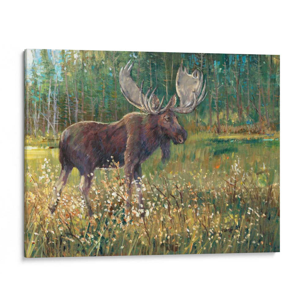Alces En El Campo - Tim OToole | Cuadro decorativo de Canvas Lab