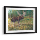 Alces En El Campo - Tim OToole | Cuadro decorativo de Canvas Lab