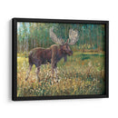 Alces En El Campo - Tim OToole | Cuadro decorativo de Canvas Lab