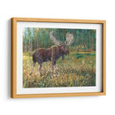 Alces En El Campo - Tim OToole | Cuadro decorativo de Canvas Lab