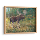Alces En El Campo - Tim OToole | Cuadro decorativo de Canvas Lab