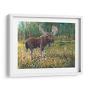 Alces En El Campo - Tim OToole | Cuadro decorativo de Canvas Lab