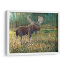 Alces En El Campo - Tim OToole | Cuadro decorativo de Canvas Lab