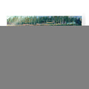 Oso En El Campo - Tim OToole | Cuadro decorativo de Canvas Lab