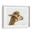 Alpaca Retrato I - Tyler Stockton | Cuadro decorativo de Canvas Lab