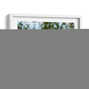 Alpaca Retrato Iii - Tyler Stockton | Cuadro decorativo de Canvas Lab