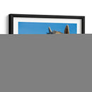 Alpaca Retrato Vii - Tyler Stockton | Cuadro decorativo de Canvas Lab