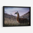 Llama Retrato I - Tyler Stockton | Cuadro decorativo de Canvas Lab