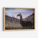 Llama Retrato I - Tyler Stockton | Cuadro decorativo de Canvas Lab