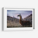 Llama Retrato I - Tyler Stockton | Cuadro decorativo de Canvas Lab