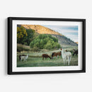 Llama Retrato Ii - Tyler Stockton | Cuadro decorativo de Canvas Lab