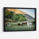 Llama Retrato Ii - Tyler Stockton | Cuadro decorativo de Canvas Lab