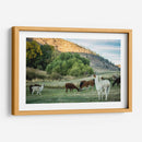 Llama Retrato Ii - Tyler Stockton | Cuadro decorativo de Canvas Lab