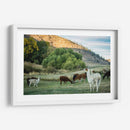 Llama Retrato Ii - Tyler Stockton | Cuadro decorativo de Canvas Lab