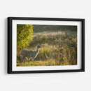 Llama Retrato V - Tyler Stockton | Cuadro decorativo de Canvas Lab