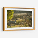 Llama Retrato V - Tyler Stockton | Cuadro decorativo de Canvas Lab