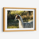 Llama Retrato Vi - Tyler Stockton | Cuadro decorativo de Canvas Lab