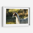 Llama Retrato Vi - Tyler Stockton | Cuadro decorativo de Canvas Lab