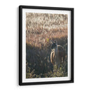 Llama Retrato Vii - Tyler Stockton | Cuadro decorativo de Canvas Lab