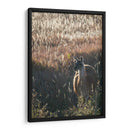 Llama Retrato Vii - Tyler Stockton | Cuadro decorativo de Canvas Lab