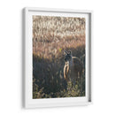 Llama Retrato Vii - Tyler Stockton | Cuadro decorativo de Canvas Lab