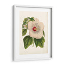 Hibisco Llamativo - Horto Van Houtteano | Cuadro decorativo de Canvas Lab