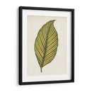 Hoja Gráfica Ii - Vision Studio | Cuadro decorativo de Canvas Lab