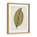 Hoja Gráfica Ii - Vision Studio | Cuadro decorativo de Canvas Lab