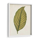 Hoja Gráfica Ii - Vision Studio | Cuadro decorativo de Canvas Lab