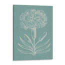 Gracioso Floral Ii - Vision Studio | Cuadro decorativo de Canvas Lab