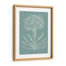 Gracioso Floral Ii - Vision Studio | Cuadro decorativo de Canvas Lab