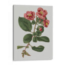 Gemas Florales I - Vision Studio | Cuadro decorativo de Canvas Lab