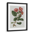 Gemas Florales I - Vision Studio | Cuadro decorativo de Canvas Lab