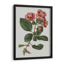 Gemas Florales I - Vision Studio | Cuadro decorativo de Canvas Lab