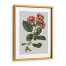 Gemas Florales I - Vision Studio | Cuadro decorativo de Canvas Lab