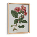 Gemas Florales I - Vision Studio | Cuadro decorativo de Canvas Lab