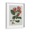 Gemas Florales I - Vision Studio | Cuadro decorativo de Canvas Lab