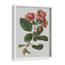 Gemas Florales I - Vision Studio | Cuadro decorativo de Canvas Lab