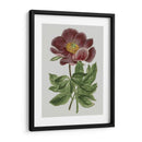 Gems Florales Ii - Vision Studio | Cuadro decorativo de Canvas Lab