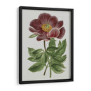 Gems Florales Ii - Vision Studio | Cuadro decorativo de Canvas Lab