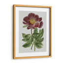 Gems Florales Ii - Vision Studio | Cuadro decorativo de Canvas Lab