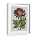 Gems Florales Ii - Vision Studio | Cuadro decorativo de Canvas Lab