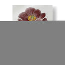 Gems Florales Ii - Vision Studio | Cuadro decorativo de Canvas Lab